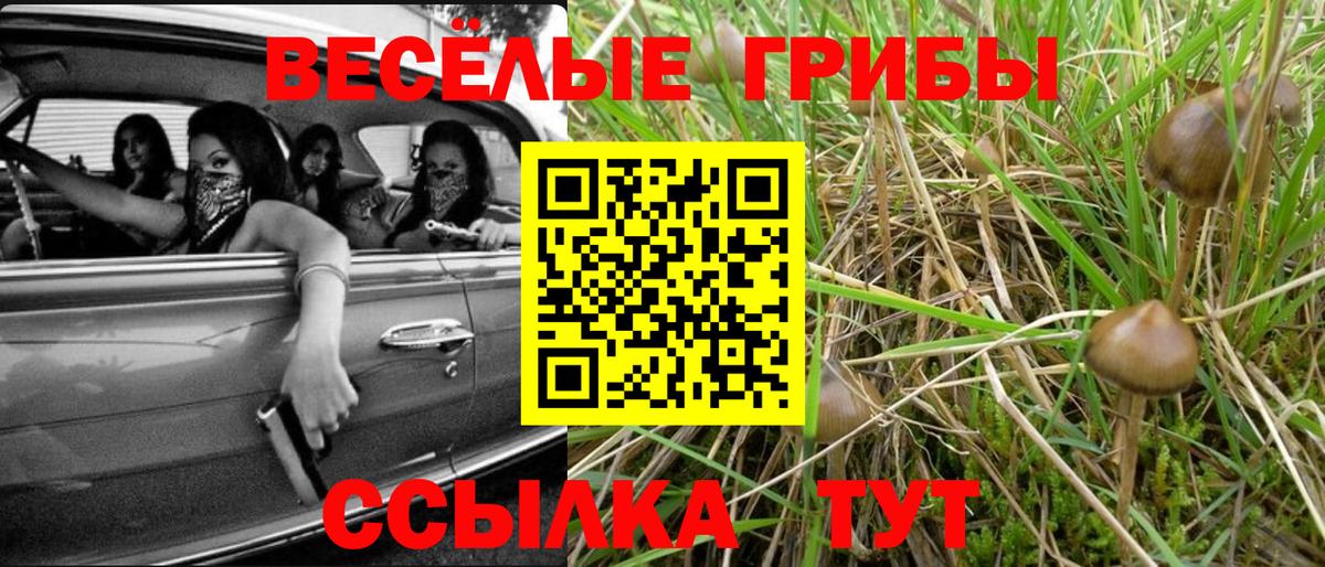 Галлюциногенные грибы ЛСД  Псилоцибиновые грибы GOLDEN TEACHER  Вход с VPN  Березники 